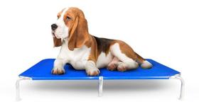 Cama Caminha Pet Cães Suspensa Higiênica Resistente Tamanho G Azul