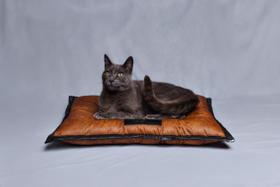 Cama colchonete resistente e impermeável para GATO PP Azul marinho Cama colchonete resistente e impermeável para GATO PP Azul marinho