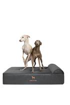 Cama grande para cães NOAH & PAW 89x64x22 cm Refrigeração ortopédica Cama grande para cães NOAH & PAW 89x64x22 cm Refrigeração ortopédica