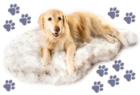Cama Ortopédica PupRug para Cães Grandes - Espuma Viscoelástica Branca