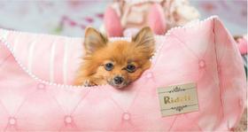 Cama para cachorro cama para gato caminha para pet retangular fofura cachorrinho pequeno a porte grande Cama para cachorro cama para gato caminha para pet retangular fofura cachorrinho pequeno a porte grande