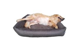 Cama Para Cachorro Grande MARROM 100 x 87 cm - 100% LAVÁVEL - A MELHOR!