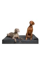 Cama para cães NOAH & PAW XXL 140x114x24 cm Refrigeração ortopédica Cama para cães NOAH & PAW XXL 140x114x24 cm Refrigeração ortopédica