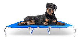 Cama Para Cão Suspensa De Alumínio Grande Tamanho Xl Azul
