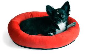 Cama Paris para Cachorro e Gato Pet