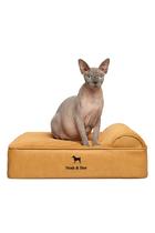 Cama pequena para cães Noah & Paw Ortopédica 51x38x17 cm Impermeável Cama pequena para cães Noah & Paw Ortopédica 51x38x17 cm Impermeável