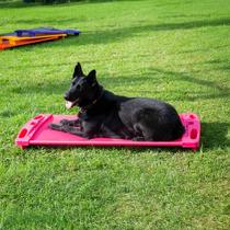 Cama Pet Extra Grande para Cachorro AmoAmora