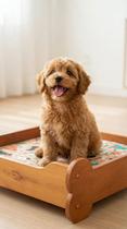 Cama Pet formato ossinhos em madeira maciça lavável confortável resistente grande pequena media para cachorro Cama Pet formato ossinhos em madeira maciça lavável confortável resistente grande pequena media para cachorro