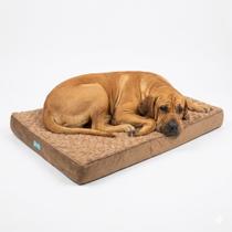 Cama Pet Ortopedica Colchão Grande 89x58cm Espuma Casca de Ovo Memoria Foam Lavável com Zíper Cães Médio e Grande Cama Pet Ortopedica Colchão Grande 89x58cm Espuma Casca de Ovo Memoria Foam Lavável com Zíper Cães Médio e Grande