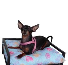 Cama pet quadrado tam.p de aço cor preto estilo industrial Cama pet quadrado tam.p de aço cor preto estilo industrial