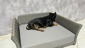 Cama pet retangular modelo cãozinho mais famoso do Brasil estopinha