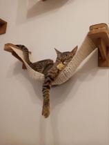 Cama rede para gatos Cama rede para gatos