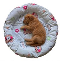 Cama Refrescante Pet, Almofada Urso, Pet Cooling Mat ,55cm Cama Refrescante Pet, Almofada Urso, Pet Cooling Mat ,55cm