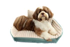 Cama Roma para Cachorro e Gato Pet