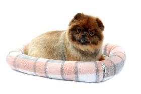 Cama Super Fofa para Cachorro e Gato Pet