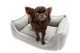 Cama Veneza para Cachorro e Gato Pet