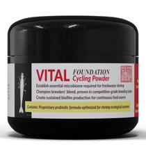 Camarão em tanque de ciclismo em pó Rare Shrimp 40g 100% de taxa de sucesso Camarão em tanque de ciclismo em pó Rare Shrimp 40g 100% de taxa de sucesso