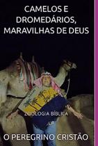 Camelos e dromedários, maravilhas de deus zoologia bíblica