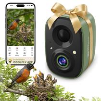 Câmera Inteligente para Alimentador de Pássaros Coolfly 2,5K UHD AI Sem Fio para Uso Externo Câmera Inteligente para Alimentador de Pássaros Coolfly 2,5K UHD AI Sem Fio para Uso Externo