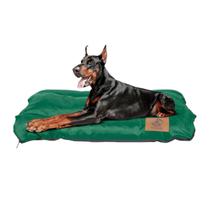 Caminha Casinha Pet Cama GG Grande Cachorro Grande Cão e Gato Colchonete Fun GG
