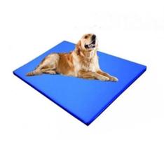 Caminha Colchonete Impermeável para Cães 70x50cm com Capa Removível e Espuma de 2cm