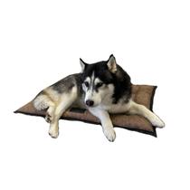 Caminha para cachorro resistente e impermeável PP 53 x 46 x 7 cm Azul marinho Caminha para cachorro resistente e impermeável PP 53 x 46 x 7 cm Azul marinho