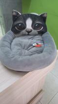 Caminha para gatos