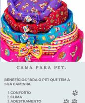 Caminha para pet Caminha para pet