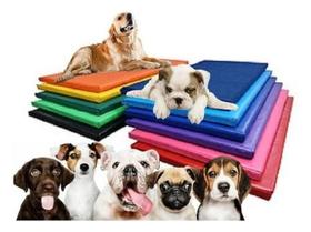 Caminha Pet Cães 70X50Cm Impermeável Colchonete Pet Caminha Pet Cães 70X50Cm Impermeável Colchonete Pet