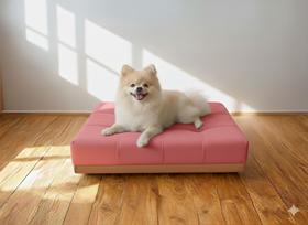 Caminha Pet Com Base Stoffa Para Cães e Gatos Rose
