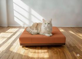 Caminha Pet Com Base Stoffa Para Cães e Gatos Terracota