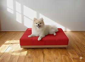 Caminha Pet Com Base Stoffa Para Cães e Gatos Tiffany