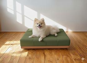 Caminha Pet Com Base Stoffa Para Cães e Gatos Verde