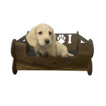 Caminha Pet Morapet Soninho MDF Com Forração Caminha Pet Morapet Soninho MDF Com Forração