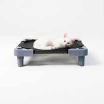 Caminha Petit Pet Preta Higiênica Kit 5 Unidades Gato e Cachorro - PapiBrink Caminha Petit Pet Preta Higiênica Kit 5 Unidades Gato e Cachorro - PapiBrink