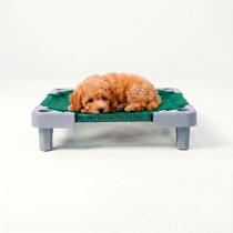 Caminha Petit Pet Verde Higiênica Kit 5 Unidades Gato e Cachorro - PapiBrink Caminha Petit Pet Verde Higiênica Kit 5 Unidades Gato e Cachorro - PapiBrink