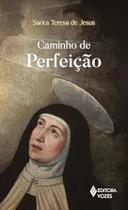 Caminho de Perfeição Sem Orelhas Por Santa Teresa De Jesus Editora Vozes
