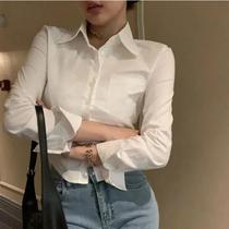 Camisa Branca de Chiffon para Mulheres - Manga Comprida, Gola de Lapela e Bolso Camisa Branca de Chiffon para Mulheres - Manga Comprida, Gola de Lapela e Bolso