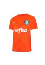 Camisa de goleiro puma palmeiras iii 2023 masculina - torcedor