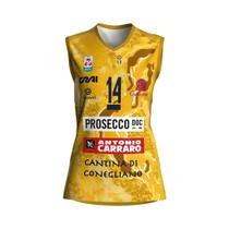 Camisa De Voleibol Respirável E Com Absorção De Umidade, Design 3D Para Combinar Em Família 2026