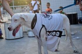 Camisa do Remo Cachorro