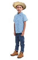 Camisa Festa Junina Infantil Xadrez Azul Cores