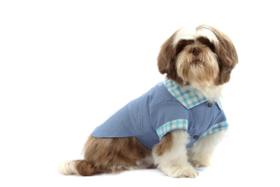 Camisa Índigo Blue para Cachorro e Gato Pet Camisa Índigo Blue para Cachorro e Gato Pet
