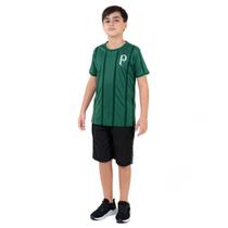 Camisa Infantil Juvenil Futebol Palmeiras Oficial
