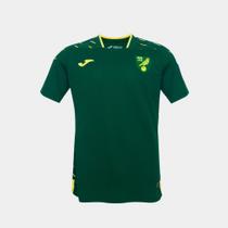 Camisa Norwich City II Joma 23/24 Jogador Verde