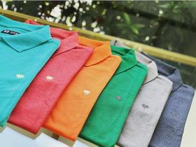 Camisa Polo Masculina 100% algodão cores variadas tamanhos P M G Camisa Polo Masculina 100% algodão cores variadas tamanhos P M G