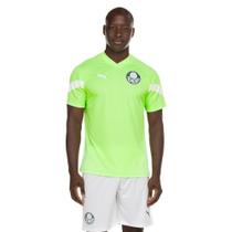 Camisa Puma Palmeiras Treino 2023/24 Masculina