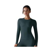 Camisas De Yoga Femininas De Manga Longa Para Inverno, Fitness, Corrida, Academia, Secagem Rápida,