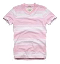 Camiseta Abercrombie Fitch Algonquin Tee Tamanho M
