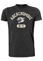 Camiseta Abercrombie & Fitch Masculina Muscle Tiger N-Y Chumbo